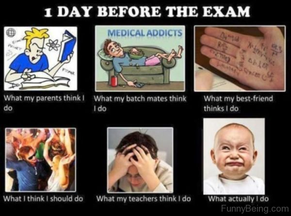 1 Day Before The Exam