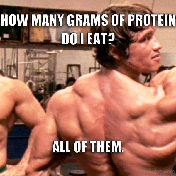 20 Craziest Bodybuilding Memes