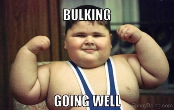 Bulking Going Well