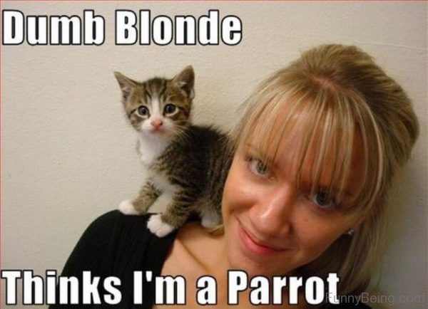 Dumb Blonde Thinks Im A Parrot