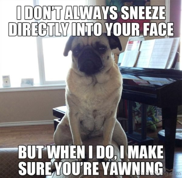 I Dont Always Sneeze Directly