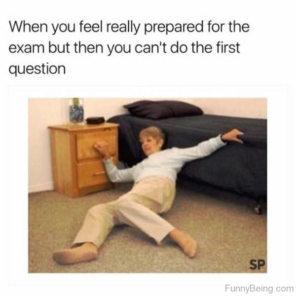 12 Awesome Exam Memes