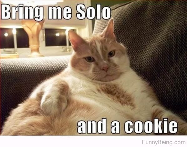 Bring Me Solo And A Cookie