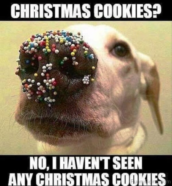 Christmas Cookies