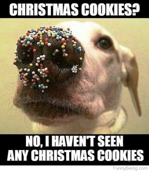 Christmas Cookies