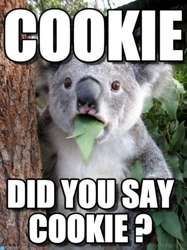 Cookie Did You Say Cookie