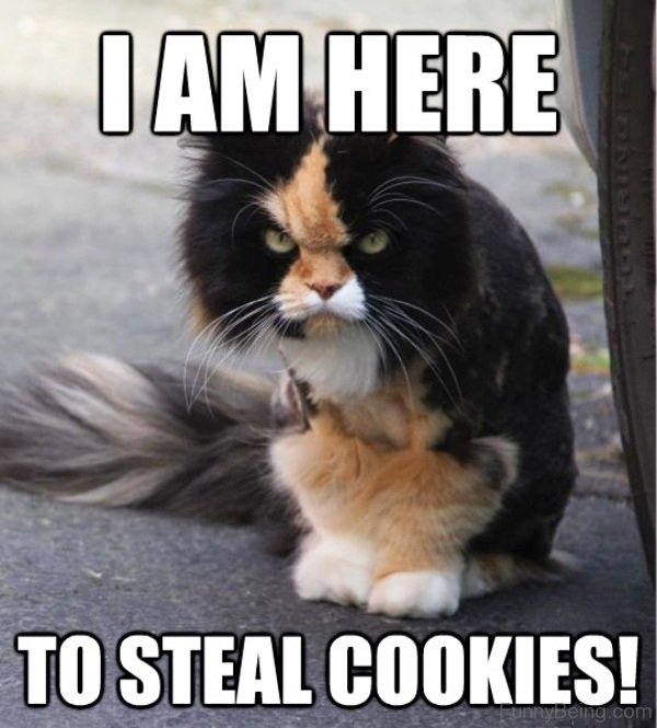 I Am Here To Steal Cookies