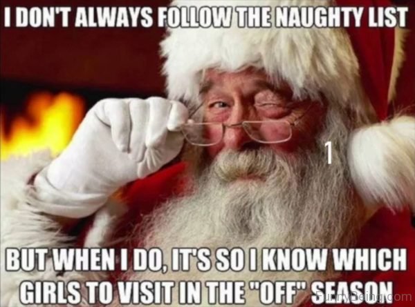 I Dont Always Follow The Naughty List