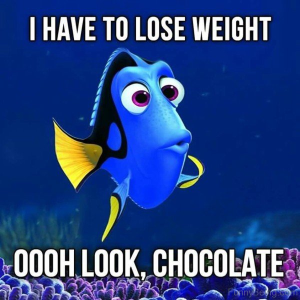 I Have To Lose Weight