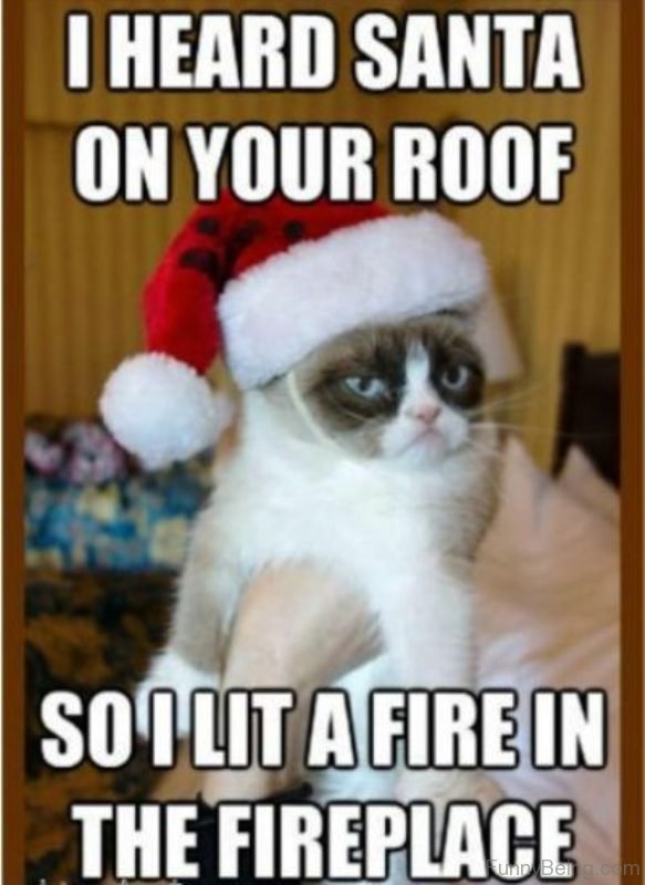 I Heard Santa On Your Roof