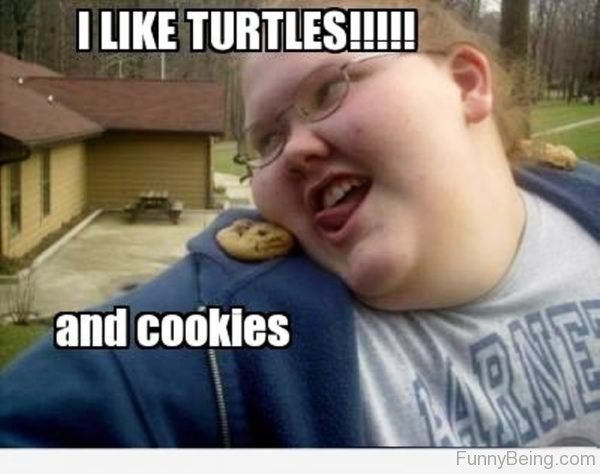 I Like Turtles And Cookies