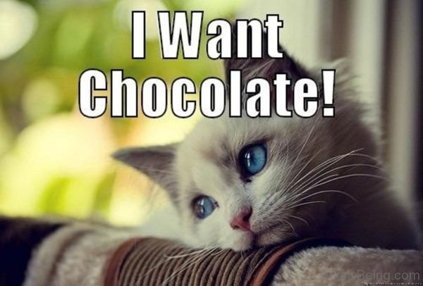 I Want Chocolate