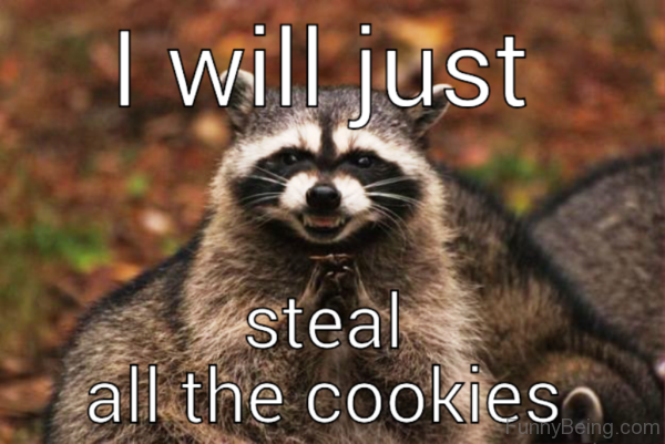 I Will Just Steal All The Cookies