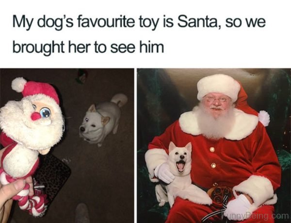 My Dogs Favourite Toy Is Santa