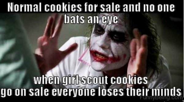 Normal Cookies For Sale