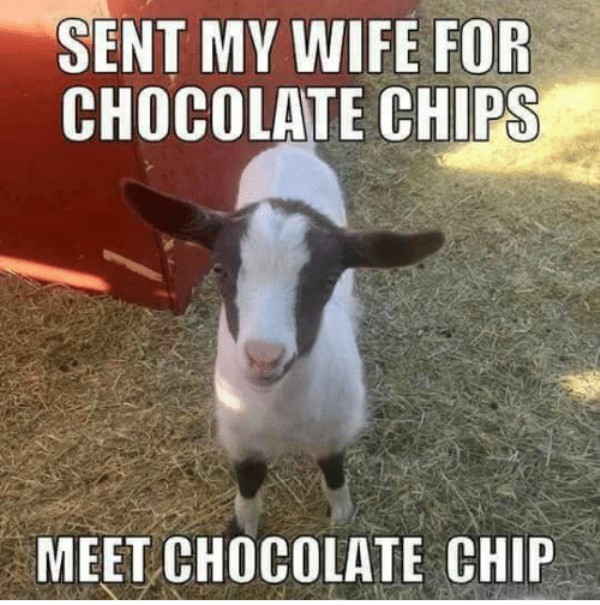Sent My Wife For Chocolate Chips