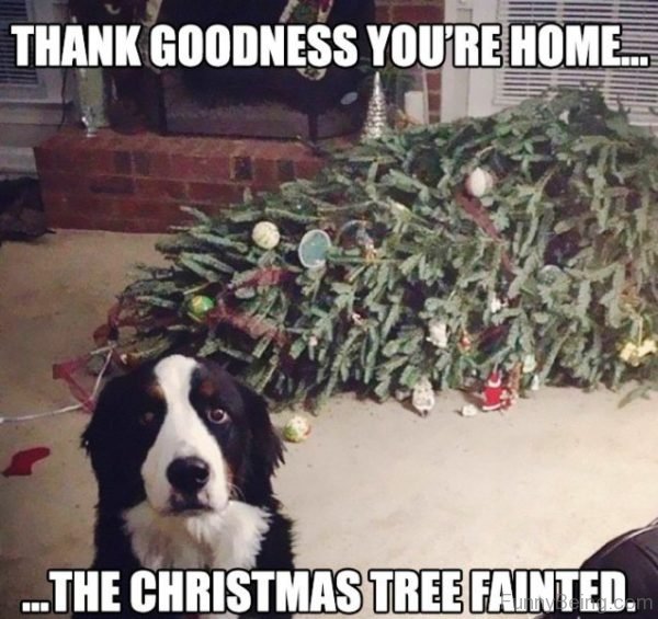 Thank Goodness Youre Home
