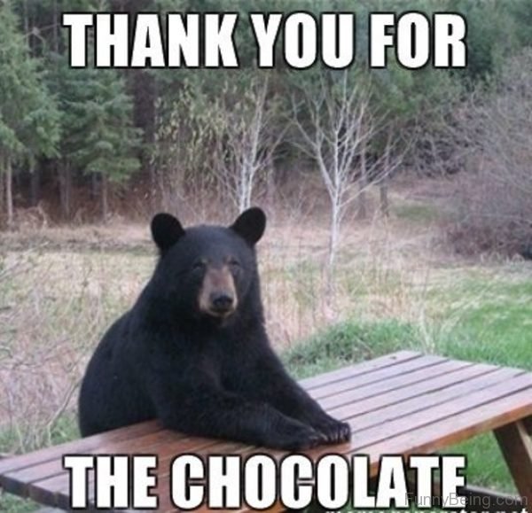 Thank You For The Chocolate