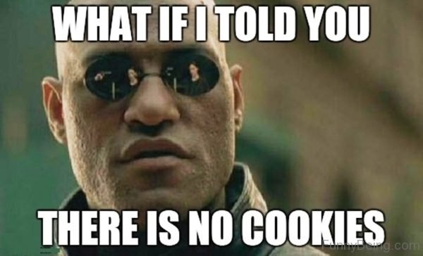 There Is No Cookies