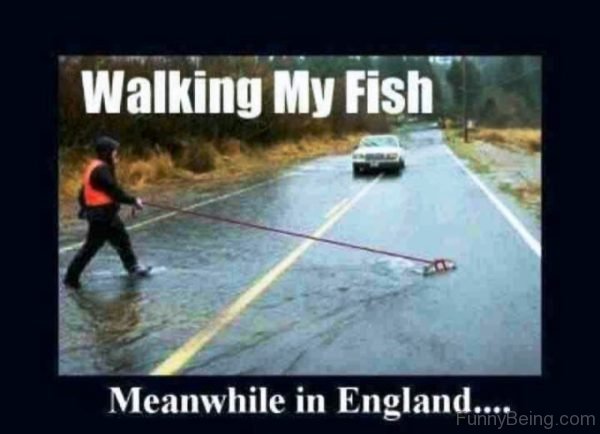 Walking My Fish