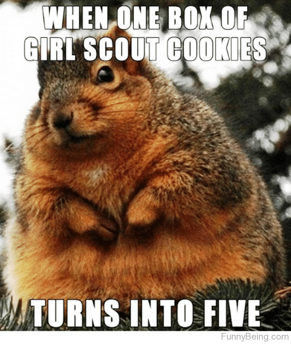 When One Box Of Girl Scout Cookies