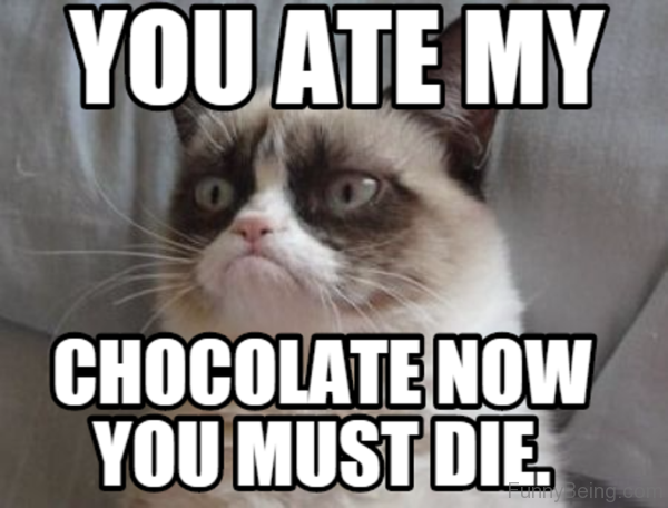 You Ate My Chocolate Now You Must Die