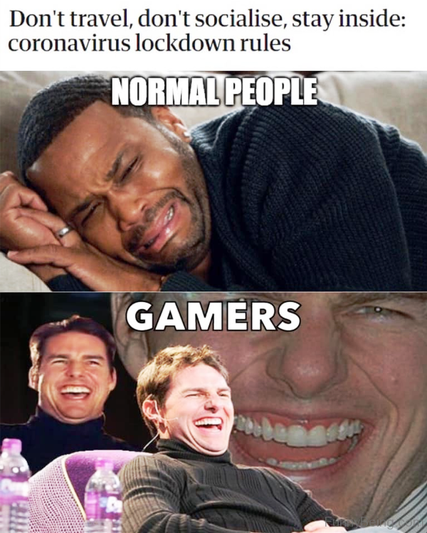 Normal People Vs Gamers
