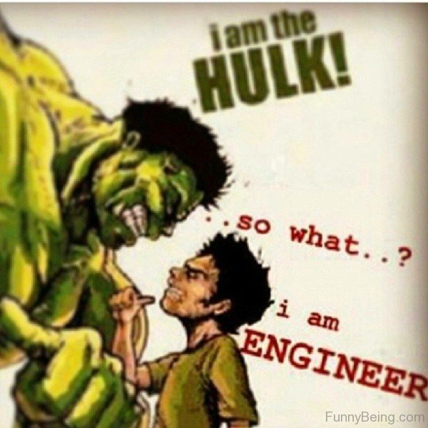 I Am The Hulk So What I Am Engineer