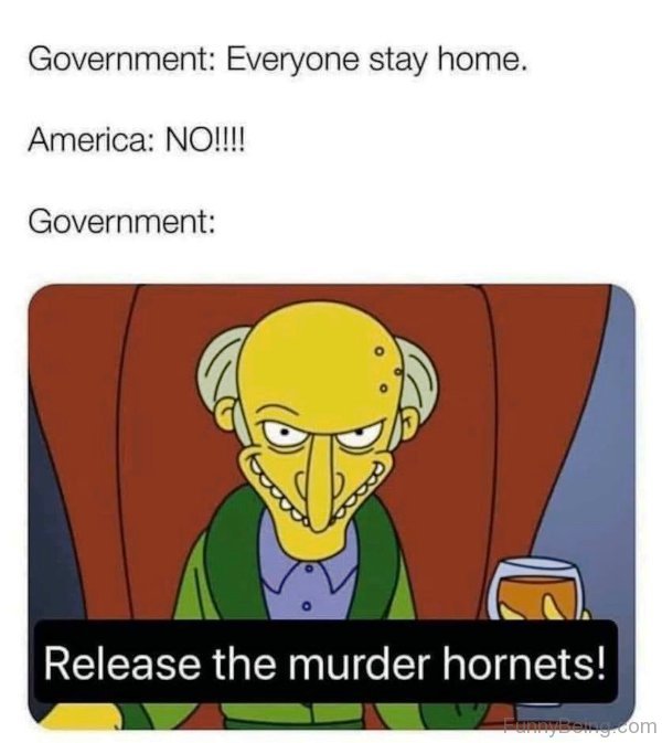 Release The Murder Hornets