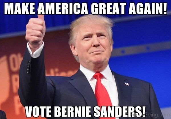 Vote Bernie Sanders