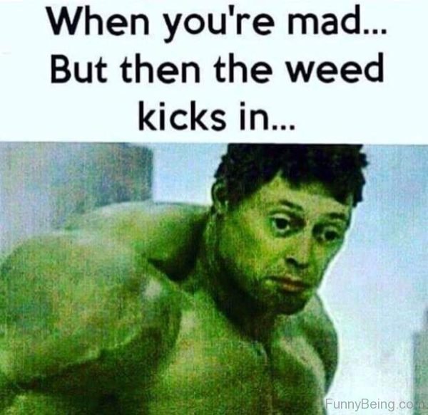 When You Are Mad But Then The Weed Kicks In