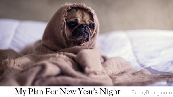 My Plan For New Years Night
