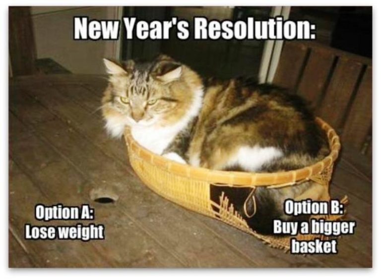 46 Most Amazing New Year Memes