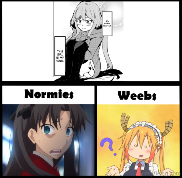 Normies Vs Weebs