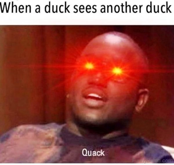 When A Duck Sees