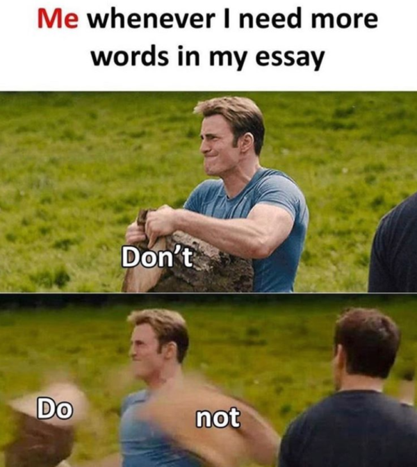 Funny Essay Writing Memes