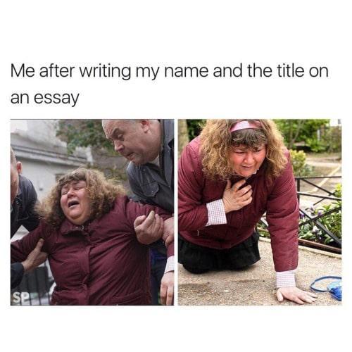 Funny Essay Writing Memes