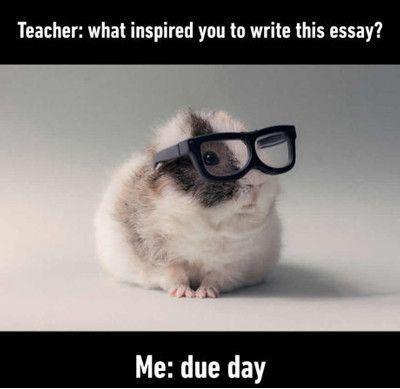 essay on funny day