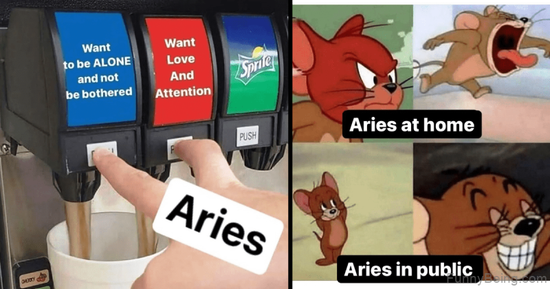Aries At Home