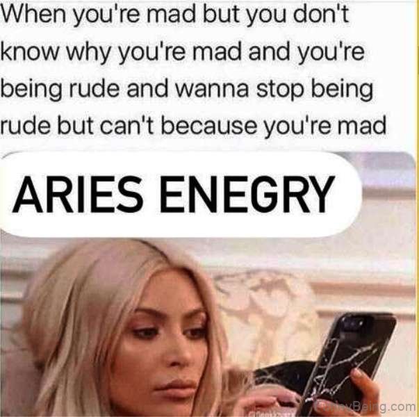 Aries Energy