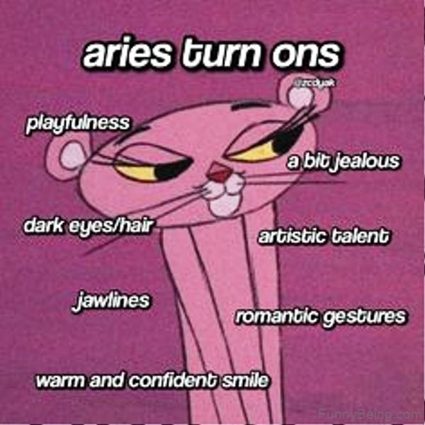 Aries Turn On