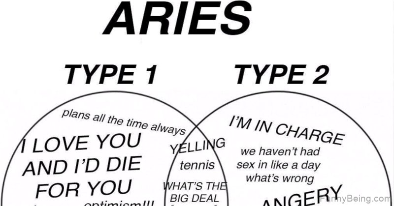 Aries Type 1 2