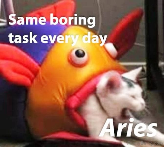 Same Boring Task Every Day