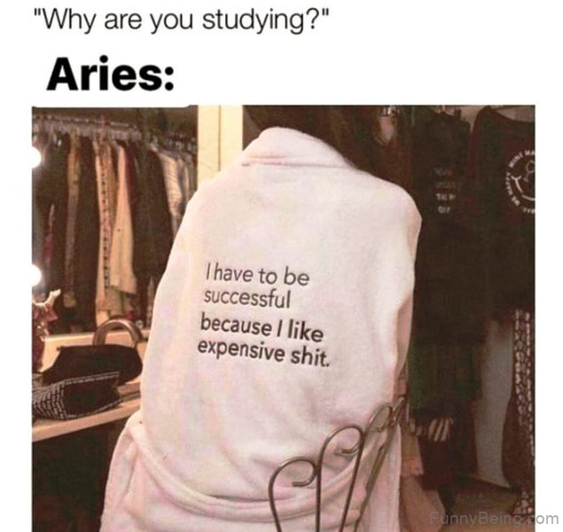 Why Are You Studying