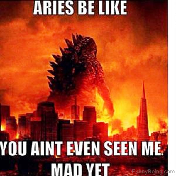 40 Hilarious Aries Memes Pictures