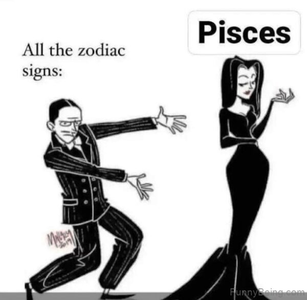 All The Zodiac Signs