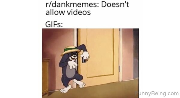 Doesnt Allow Videos