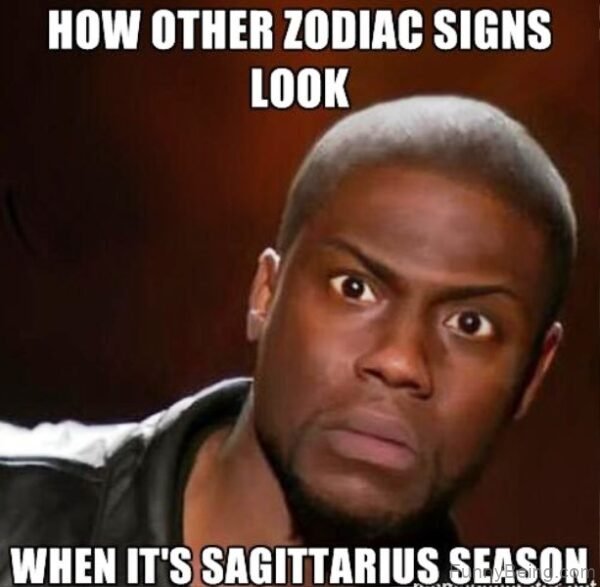 How Other Zodiac Signs