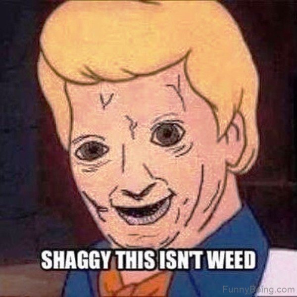 Shaggy This Isnt Weed