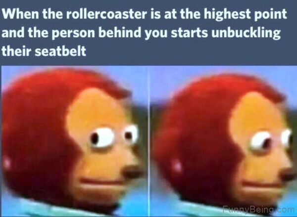 When The Rollercoaster